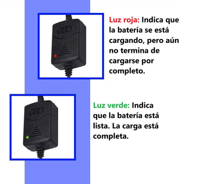 Cargador Automatico para Bateria Recargable de 12 Vdc